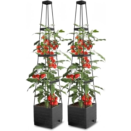 Offerta a tempo: Liwankaqi Vaso per pomodori con traliccio, 2 tralicci con fioriera, altezza 140 cm, regolabile per piante, pomodori, rose - 33% da 45.99 € a 30.99 €