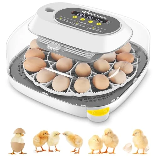 Oferta limitada: Sailnovo Incubadora para 24 Huevos con 4 Modos, Incubadora de Huevos con Volteo Automático y Monitor de Humedad, Lámpara de Huevo, Incubadora Huevos Gallina Vista 360° Ventana Transparente, Gris de 103.84 € a 103.84 € (ahorro 0.00%)