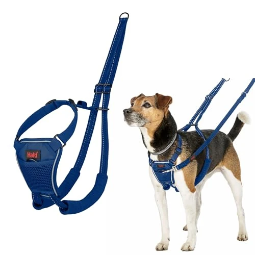 Tijdelijke aanbieding: Halti No-Pull Hondentuig - Om te voorkomen dat uw hond aan de lijn trekt. Verstelbaar en lichtgewicht. Reflecterend hondentrainingsharnas voor kleine honden (Maat S, Kobaltblauw) van 27.82 € naar 27.82 € (0.00% korting)