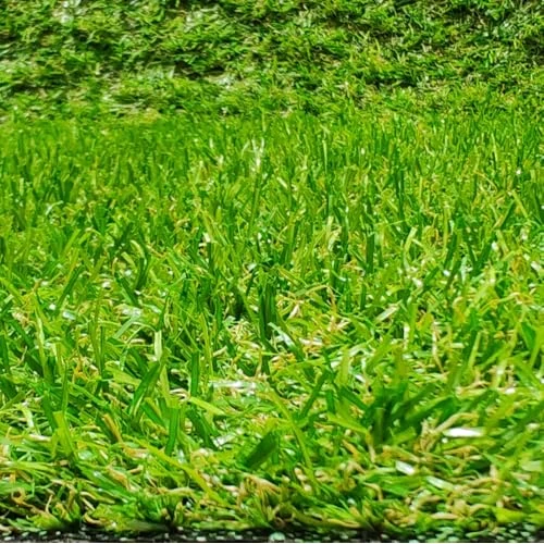 Oferta limitada: Rollo de Césped Artificial, Moqueta Terraza o Jardín de 20 MM Altura, (100 X 400 Centímetros) de 36.00 € a 36.00 € (ahorro 0.00%)
