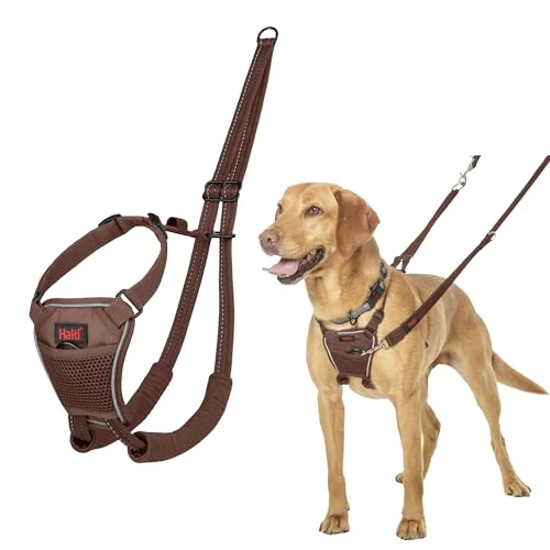 Limited offer: HALTI No Pull Harness - To Stop Your Dog Pulling on the Leash. Adjustable, Lightweight and Easy to Use. Reflective Dog Training Harness for Medium Dogs (Size M, Deep Walnut) from 17.30 EUR to 17.30 EUR (save 0%)