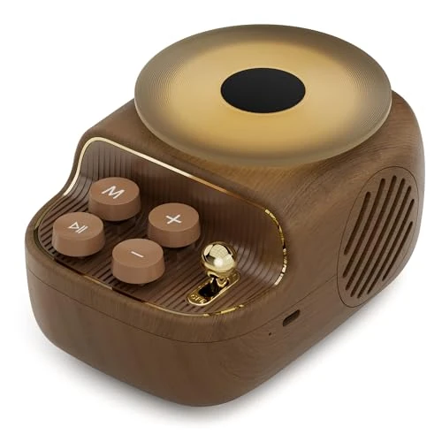 COLSUR Geschenke für Frauen Freundin Bluetooth Lautsprecher Mini mit Nachtlicht Frauen - Geburtstagsgeschenk Home Office Dekoration