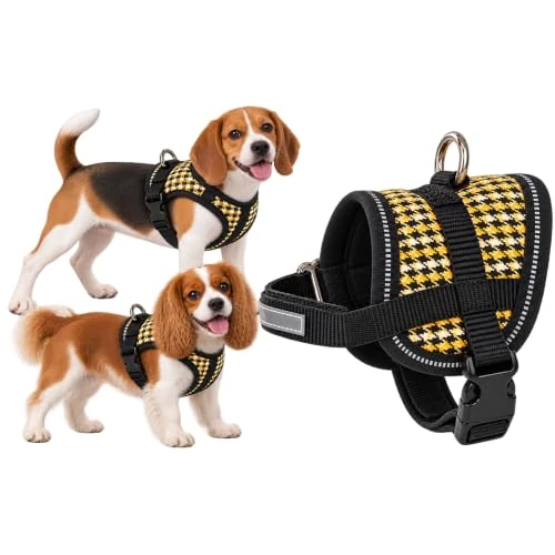 Offre limitée : Flamingo Harnais pour Chien Eeny Meeny Jaune & Noir – Taille S - A:18-28cm B:31-40cm c:8,5cm x 15mm – Réglable, Léger et Sécurisé | Harnais Confortable en Nylon Résistant de 10.99 € à 10.99 € (0.00% de remise)