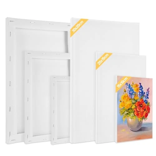Set da 6 Tele Per Pittura, Tela Per Dipingere, 30x20,20x15,15x10 CM, 100% Cotone, Tele Pittura per Acrilico Pittura A Olio per Principianti E Artisti