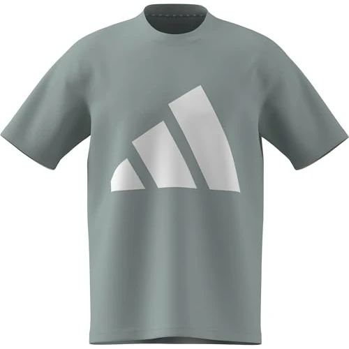 adidas Men's Essentials Big Logo Single Jersey Tee, Wonder Sage/White, 4XL