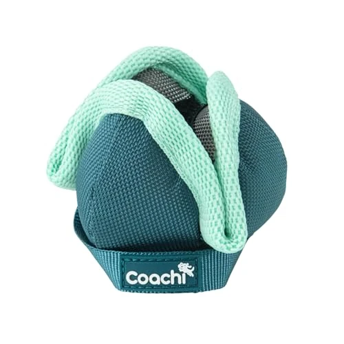 Offerta a tempo: Coachi Chase & Treat Gioco tira e molla, ideale per l’addestramento a distanza, l’agility, promuove l’interazione, motiva, incoraggia il riporto. Adatto a cuccioli e cani di piccola taglia - 5% da 13.89 € a 13.25 €