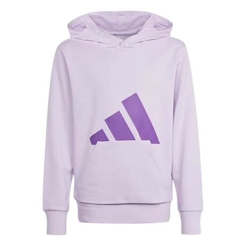 adidas Unisex Kids ESSENTIALS BIG LOGO HOODIE, ice lavender/active purple, 11-12 Years