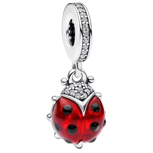 Offerta a tempo: Jokmeo Ciondolo charm in argento 925 puro, compatibile con bracciali e collari della marca Pandora e di stile europeo. Adatto a donne e ragazze. - 20% da 14.99 € a 11.99 €
