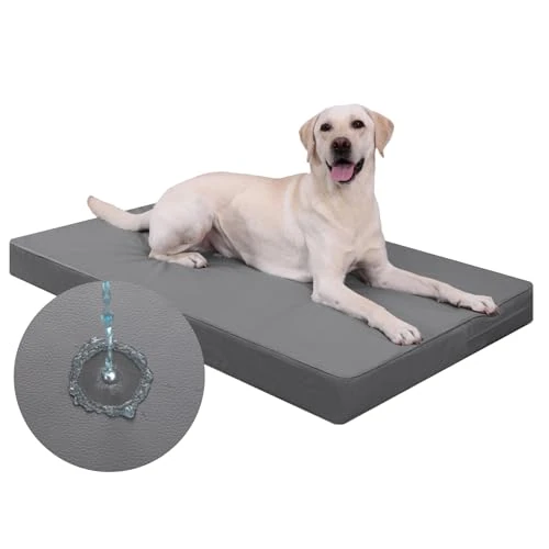 Offerta a tempo: Favodormir Impermeabile Cuccia Cane Interno ed Esterno,Ortopedica Cuscino Cane in Ecopelle,Sfoderabile e Lavabile,Materassino per Cani Taglia Grande, Letto per Cani,Grigio,119x73x9cm - 0.00% da 46.99 € a 46.99 €