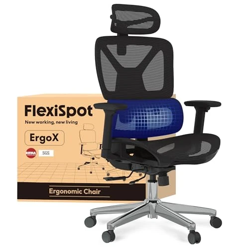 FLEXISPOT ErgoX Chaise de bureau ergonomique - Accoudoirs 3D - Appuie-tête 3D - Dossier réglable 5D - Siège respirant - Charge maximale : 130 kg - ErgoX - Noir