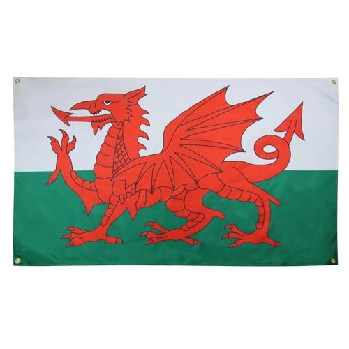 Offerta a tempo: AZ FLAG Bandiera Galles 150 x 90 cm con 4 occhielli, bandiera gallese per balcone o parete - 53% da 9.95 € a 4.70 €