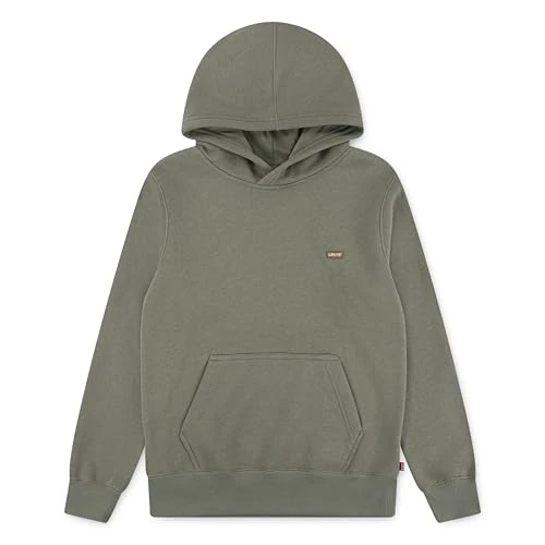 Offre limitée : Levi's Sweat à Capuche pour Enfant Mini Chauve-Souris Vert, Vert, 6 Ans de 29.95 € à 29.95 € (0.00% de remise)
