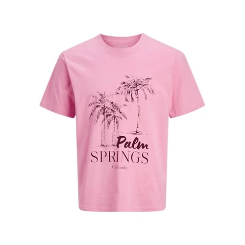 Offre limitée : JACK & JONES Jjlarri Tee SS Crew Neck Pls - Grande Taille, Prism Rose., 4XL de 11.29 € à 10.39 € (8% de remise)
