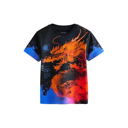 Offre limitée : NEXT Garçon T-Shirt Standard à Manches Courtes et imprimé sur l'ensemble Black/Orange Dragon Numeric 128 de 5.00 € à 5.00 € (0.00% de remise)