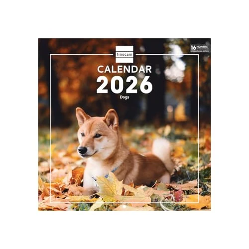 Offerta a tempo: Finocam - Calendario da parete 2026 30x30 Layout mensile Gennaio - Dicembre 2026 + Sett. - Dic. 2025 (4 mesi) ridotto | Calendario 2026 | Immagini Dogs - Internazionale - 62% da 10.90 € a 4.09 €