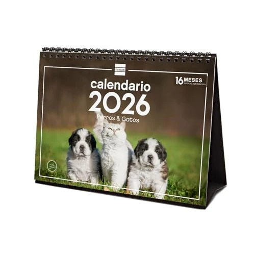 Limited-time offer: Finocam - Desktop Calendar 2026 Month View January - December 2026 + Sep.- Dec. 2025 (4 months) reduced | Calendar 2026 | Pictures Dogs and cats - English from 4.64 £ to 4.64 £ (save 0.00%)