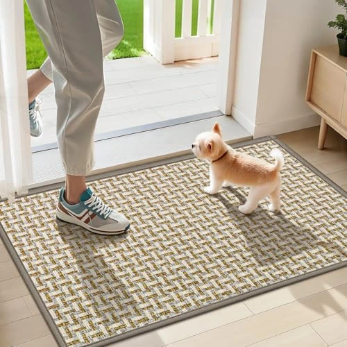 Offre limitee: LEKEEPGO Tapis Entree Interieur 43x75cm, Paillasson Interieur Entree, Tapis de Sol Absorbant Lavable, Tapis Chambre Antidérapant, Tapis d'Entrée Fin pour Entrée, Couloir, Cuisine, Gris de 29.99 EUR a 25.49 EUR (economie 15%)