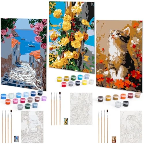 Euqvunn 3-Pack Paint by Numbers for Adults with Frame, DIY 20x30cm Canvas Paint by Numbers Kits with Brush and Paints for Beginner, Oil Painting Craft Art for Home Wall Decor