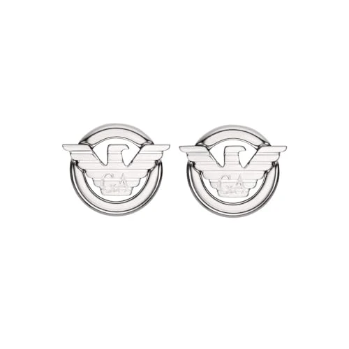 Offerta a tempo: Emporio Armani Orecchini Uomo in acciaio inossidabile con chiusura a perno, Argento cromato - 66% da 69.00 € a 23.20 €
