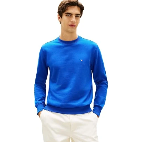 Tommy Hilfiger Heren Essential Terry Crewneck MW0MW37237 Pullover Sweatshirt, BLAUW, M