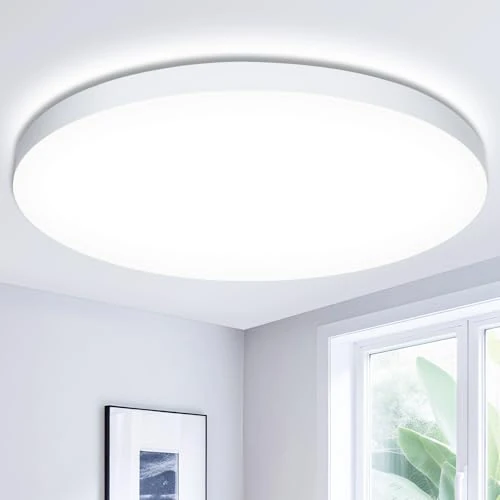 Swoieltr Lampa sufitowa LED 6500K