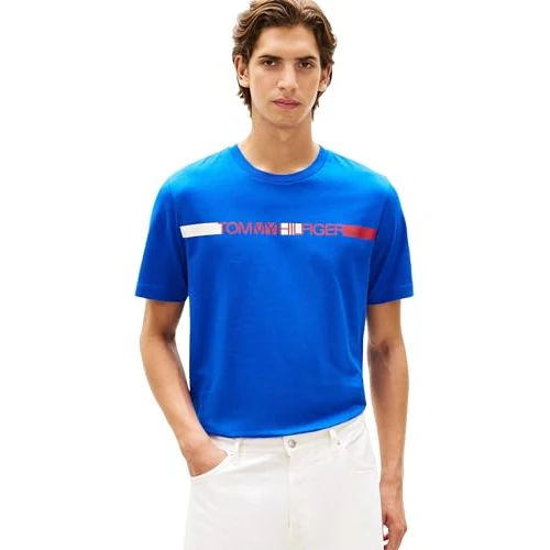 Offerta a tempo: Tommy Hilfiger Uomo T-Shirt Maniche Corte Brand Love Stripe in Cotone, Blu (Regal Blue), M - 45% da 27.99 € a 15.39 €
