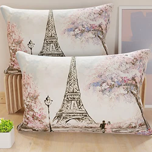 Offerta a tempo: PETTI Artigiani Italiani - Coppia di Federe Cuscino 40x145 cm in Microfibra, Cuscini Arredo Camera da Letto, Divano, Salotto, Set 2 Fodere Copricuscino, Federa Paris, 100% Made in Italy - 30% da 22.90 € a 16.08 €