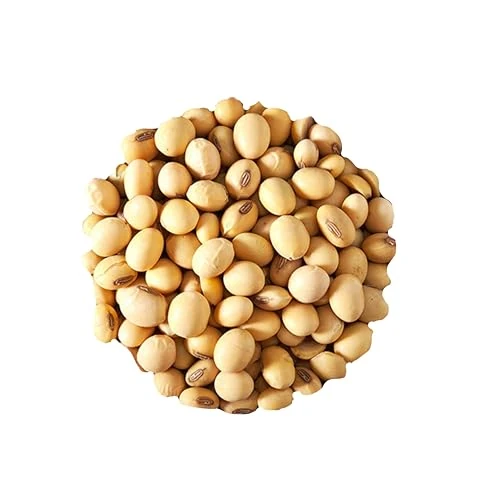 Offerta a tempo: Bongiovanni Bontà Naturali Soia decorticata italiana BIO 1 kg - 50% da 10.46 € a 5.24 €