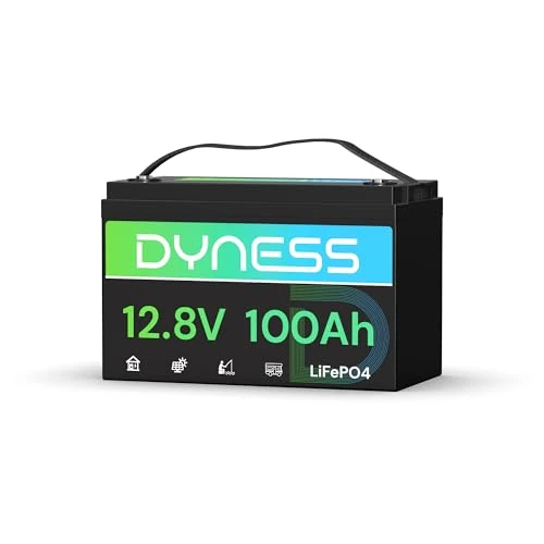 Offerta a tempo: Dyness LiFePO4 Batteria al Litio 12V 100Ah a Ciclo profondo con 100A BMS, Protezione Dalle Basse Temperature, Per Campeggio, Barche, Accumulo Solare Domestico, Off-grid - 6% da 179.99 € a 169.59 €