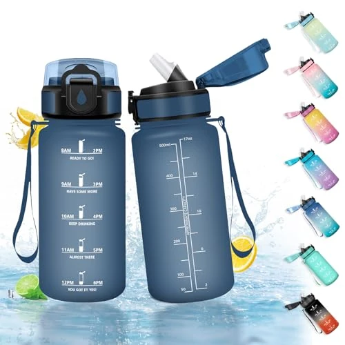 Offre limitée : HoneyHolly Gourde Paille 500ml, sans BPA & Étanches, Bouteille, Réutilisable, Motivation Bouteille d'eau, Avec Marqueur de Temps, Petite Gourde pour Gym, Ecole, Cyclisme, Plein Air, Sport de 9.24 € à 6.87 € (25.65% de remise)