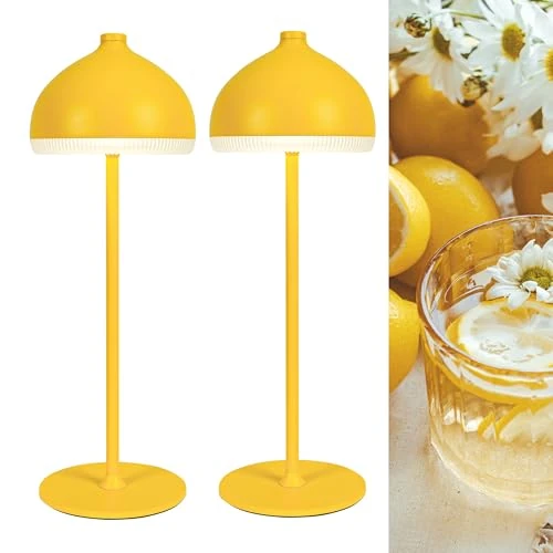 Offerta a tempo: LuminexDesigns Set di 2 Lampade da Tavolo LED Senza Fili Ricaricabili, Dimmerabili Touch, 3 Tonalità di Luce, Illuminazione d’Ambiente per Camera da Letto e Soggiorno - 14% da 49.99 € a 42.99 €