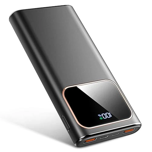 PowerBank Schnellladung 10000mAh DY201XD0808E DE