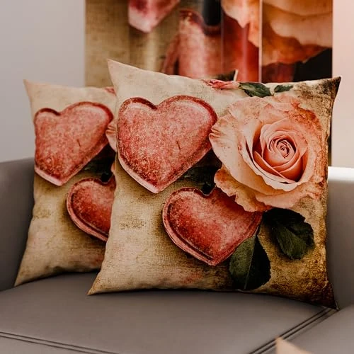 PETTI Artigiani Italiani - Coppia di Federe Cuscino 65x65 cm in Microfibra, Cuscini Arredo Camera da Letto, Divano, Salotto, Set 2 Fodere Copricuscino, Federa Shabby 332, 100% Made in Italy