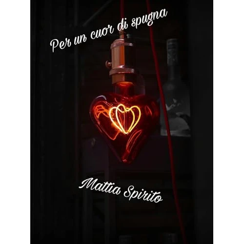 Per un cuor di spugna (Italian Edition)