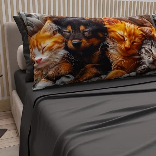 Oferta limitada: PETTI ARTIGIANI ITALIANI - Sábanas con Estampado de Animales (Gatos y Perros) en algodón con Fundas de Almohada Digital, sábanas tamaño Queen francesas, Juego de Cama Queen Gris de 39.90 € a 39.90 € (ahorro 0.00%)
