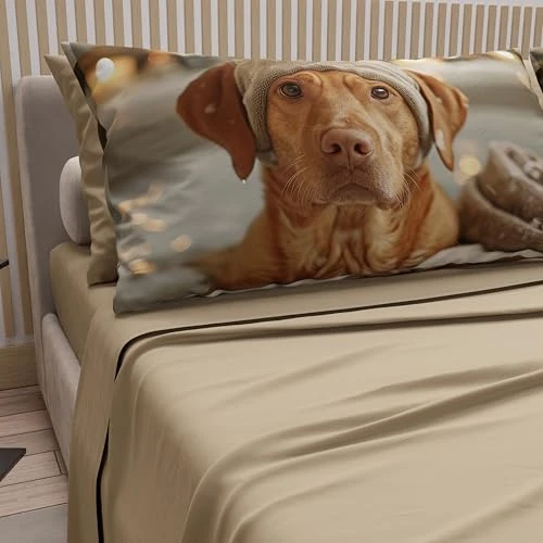 Offre limitée : PETTI Artigiani Italiani - Parure de lit pour Animaux avec Chiens en Coton avec taies d'oreiller en Impression numérique, draps Une Place et demie française, 100% fabriqué en Italie de 39.90 € à 39.90 € (0.00% de remise)