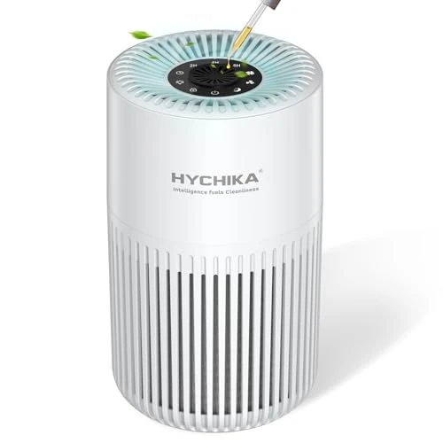 Offerta a tempo: Purificatore d'aria con HEPA Filtra il 99,97% di polvere e particelle fino a una dimensione di 0,3 micron, modalità sleep (20 dB) e modalità auto, tre velocità per uso domestico - 0.00% da 39.99 € a 39.99 €