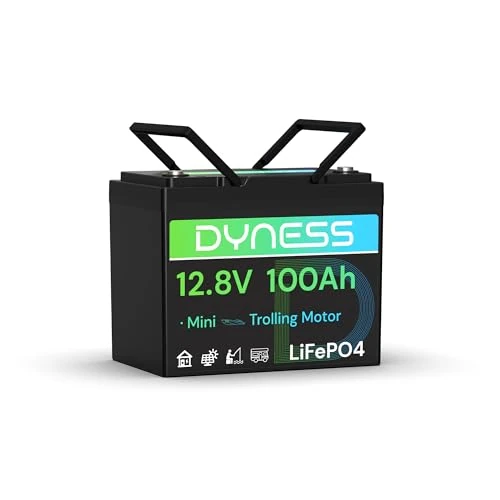 Offerta a tempo: Dyness Batteria al Litio 12V 100Ah LiFePO4 Batteria Mini con BMS 100A, Protezione da Bassa Temperatura, Max 15000 cicli, per Camper, Solari Domestici, Motori di Barche - 5% da 179.99 € a 170.99 €