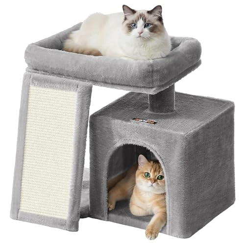 Offerta a tempo: Feandrea Albero per Gatti Piccolo, Torre Tiragraffi per Gatti con Casetta, Rampa Graffiatoio Grande, Cuccia Superiore, Grotta, Alto 44,6 cm, Grigio Tortora PCT010GD01 - 20% da 25.99 € a 20.79 €
