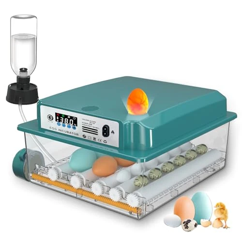 Tijdelijke aanbieding: broedautomaat van 69.80 € naar 69.80 € (0.00% korting)