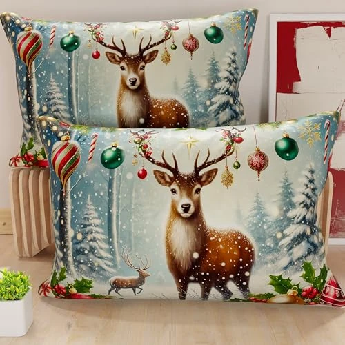 Offerta a tempo: PETTI Artigiani Italiani - Coppia di Federe Cuscino 30x50 cm in Microfibra, Federe Natalizie, Cuscini Arredo di Natale Camera da Letto, Divano, Salotto, Set 2 Fodere Copricuscino, Federa Xmas 4 - 51% da 13.90 € a 6.84 €