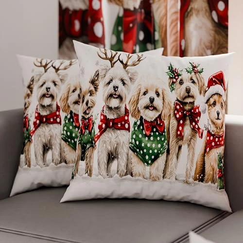 Petti Italian Artisans – Paar 50 x 50 cm Mikrofaser-Kissenbezüge, Weihnachtsdekor-Kissen für Schlafzimmer, Sofa, Wohnzimmer, 2er-Set Kissenbezüge, Xmas 9 Kissenbezug