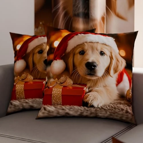 Tijdelijke aanbieding: PETTI Artigiani Italiani - Paar kussenslopen 50 x 50 cm van microvezel, kerstdecoratie, voor slaapkamer, bank, woonkamer, set van 2 kussenslopen, kussensloop Xmas 15 van 12.81 € naar 12.81 € (0.00% korting)