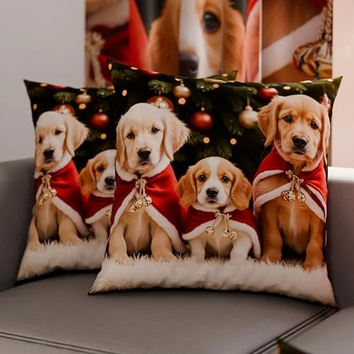 PETTI Artigiani Italiani - Paar kussenslopen 40 x 40 cm van microvezel, kerstdecoratie, voor slaapkamer, bank, woonkamer, set van 2 kussenslopen, kussensloop Xmas 18