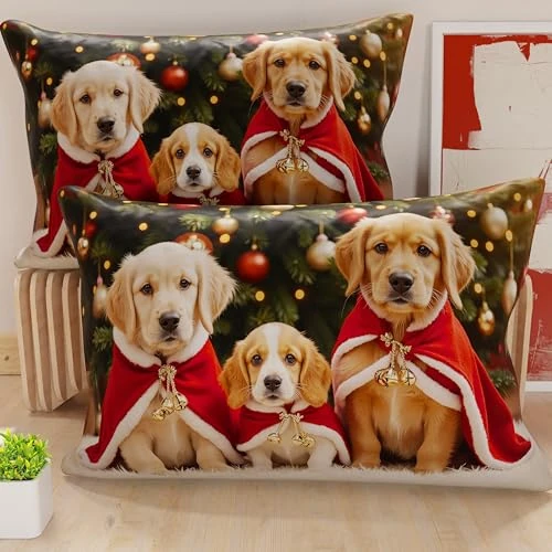 PETTI Artigiani Italiani - Para poszewek na poduszki 30 x 50 cm z mikrofibry, poszewki na poduszki, świąteczne dekoracje do sypialni, sofy, salonu, zestaw 2 poszewek na poduszki, poszewka na poduszkę