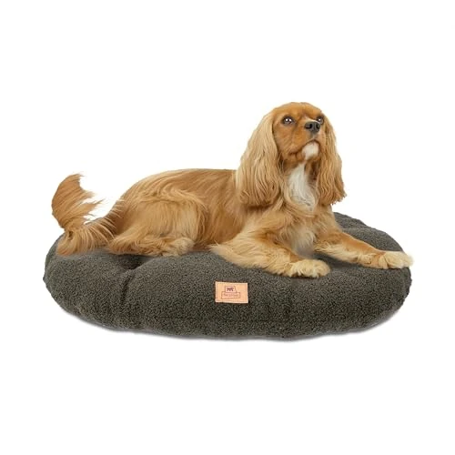 Offerta a tempo: Ferplast Cuccia Cane Cuscino per Cani di medie dimensioni, Cuccia Gatto, Tessuto Lavabile in Bouclé Sintetico, Imbottitura Soffice, 65 x 42 x h 4 cm. Verde - 0.00% da 17.29 € a 17.29 €