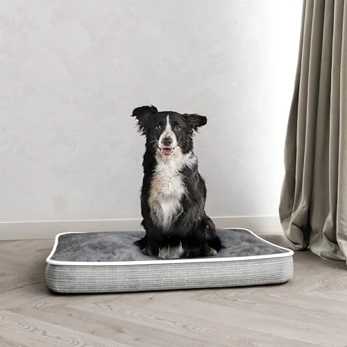Oferta limitada: Cojín 4 Estaciones para Perros y Gatos, cojín desenfundable con Cremallera y Lavable – Cama Acolchada, caseta de Forro Polar para el Invierno y Tejido Impermeable para el Verano – 89 x 65 cm Gris de 20.76 € a 20.76 € (ahorro 0.00%)