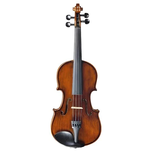 EKO – EBV-A 1413 3/4 violon avec équipement, kit violon 3/4 complet, top sapin massif, bandes et fond érable, clavier ébène, étui et accessoires inclus