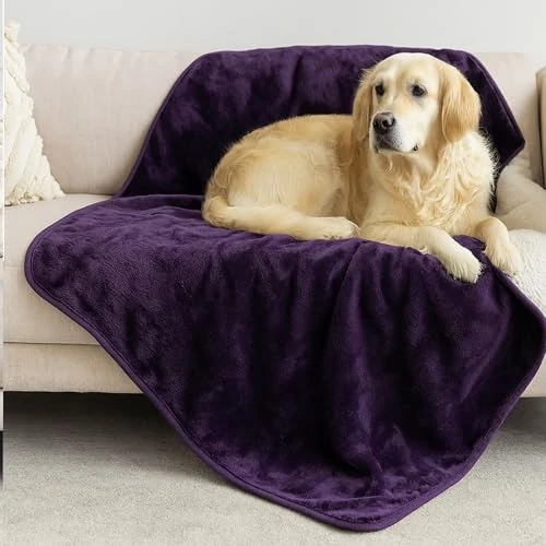 Offerta a tempo: Dreamzie - Coperta Impermeabile per Cani 100x120 cm - Copridivano Reversibile Lavabile in Pile Sherpa -Telo Impermeabile per Letto o Divano - Copriletto - Nero - 37% da 29.99 € a 18.99 €
