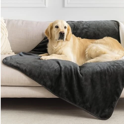 Offerta a tempo: Dreamzie - Coperta Impermeabile per Cani 100x120 cm - Copridivano Reversibile Lavabile in Pile Sherpa -Telo Impermeabile per Letto o Divano - Copriletto - Grigio scuro - 37% da 29.99 € a 18.99 €
